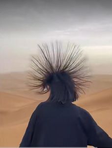 人类炸毛头发会竖起来吗_炸毛是受惊吓或压力时毛发竖立的现象