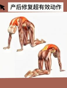 柱直肌怎么锻炼_锻炼柱直肌，稳固脊柱，增强核心