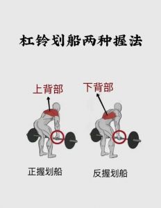 背胸太厚怎么练_背部瘦下来，运动饮食加调养