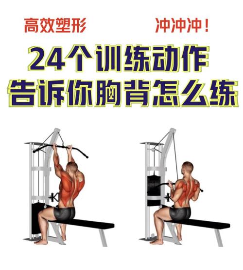 胸肩背腿训练顺序_健身练胸肩背腿顺序有讲究！