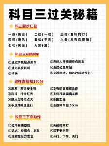 三实训练是哪三个_真实调研，务实研究，切实解决