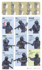 据枪的动作要领归纳_据枪姿势要稳，瞄准才能准！