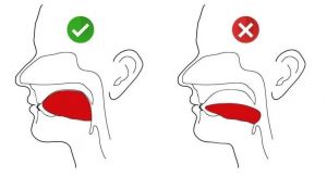 抬软腭的10个动作_增强发声共鸣