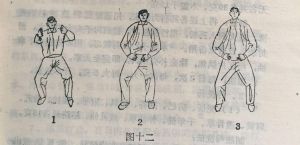 从收获十二横练铁布衫开始_沈一刀铁布衫逆袭成神