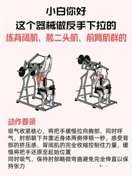 肩膊训练器几组_练出宽厚肩膀，告别圆肩穿西装更精神