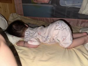 爬跪是什么动作_运动康复好帮手，强身健体又止痛