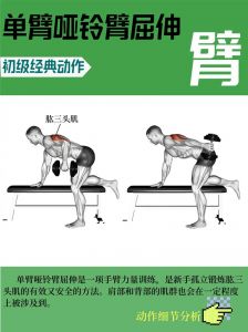 附身臂屈伸练的三头哪里_臂屈伸练肱三头肌，长头内侧头都练到