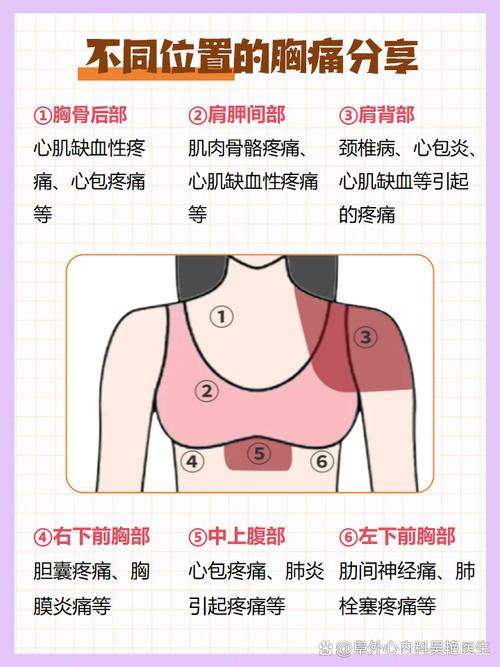 心口窝疼痛部位对照表_胸口疼？心脏胆囊或肌肉，快查查！
