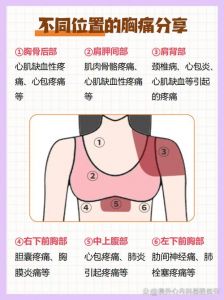 心口窝疼痛部位对照表_胸口疼？心脏胆囊或肌肉，快查查！