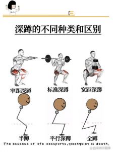 半深蹲的标准动作_半深蹲正做法，保护膝盖基础功