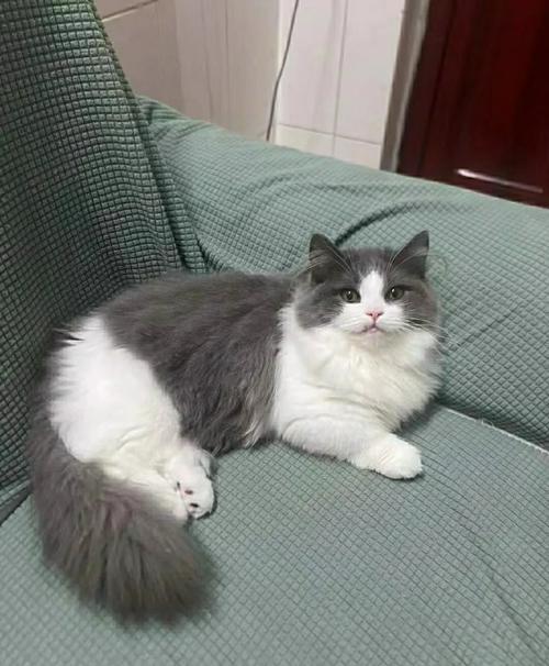 蓝得发白是什么颜色_清新柔和的淡蓝色调